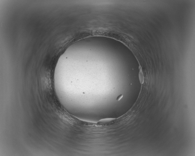 X0000078861252200611201304