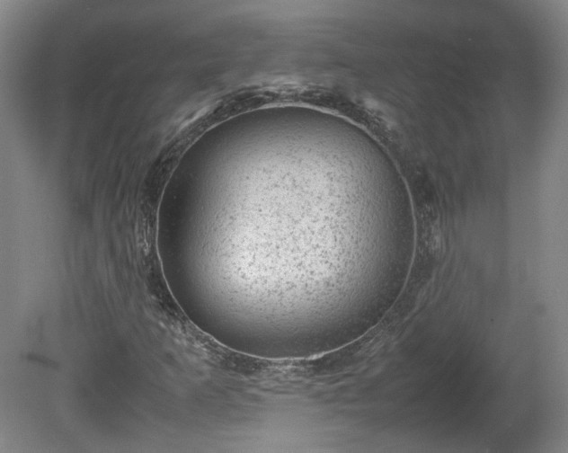 X0000078861253200611201304