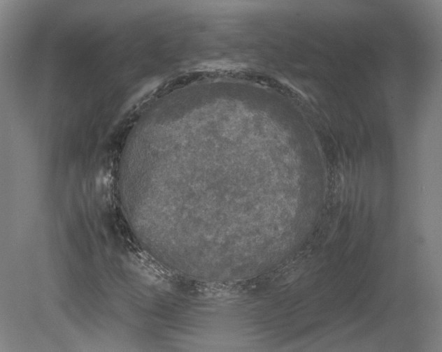 X0000078861254200611201304