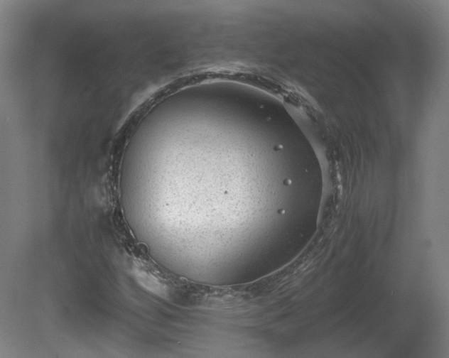 X0000078861256200611201304