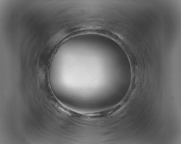 X0000078861257200611201304