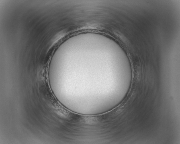 X0000078861258200611201304