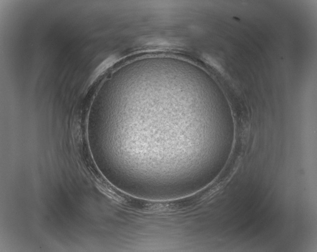 X0000078861259200611201304