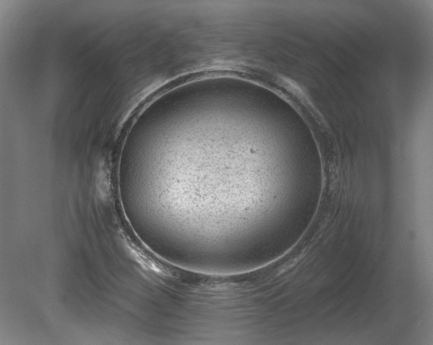 X0000078861260200611201304