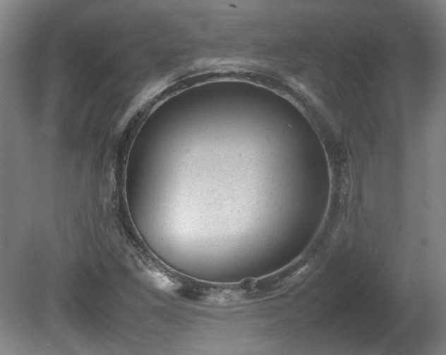 X0000078861261200611201304