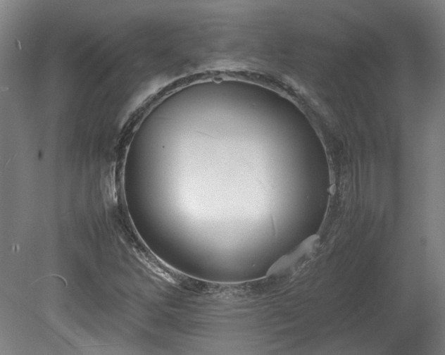 X0000078861262200611201304