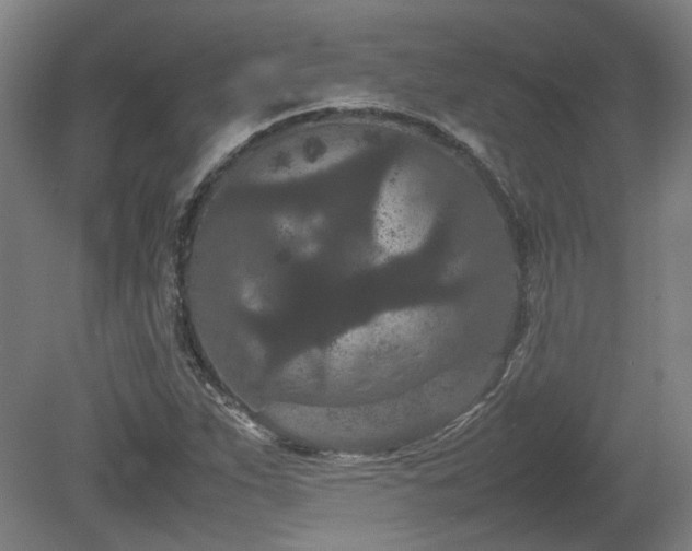 X0000078861263200611201304