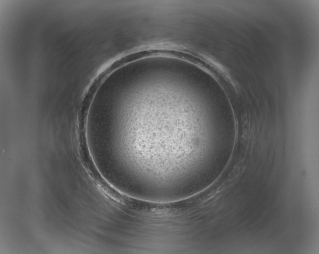 X0000078861264200611201304