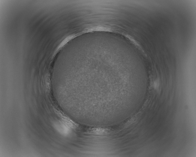 X0000078861266200611201304