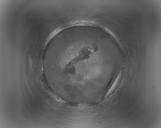 X0000078861267200611201304