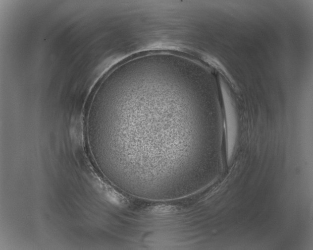 X0000078861268200611201304