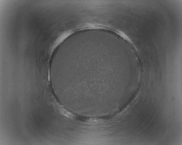 X0000078861269200611201304