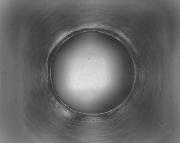 X0000078861270200611201304