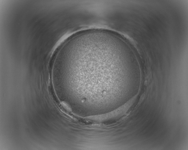 X0000078861271200611201304