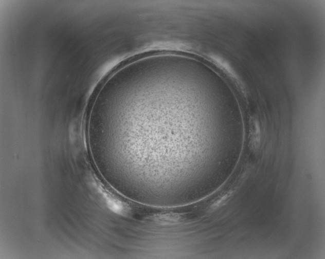 X0000078861272200611201304