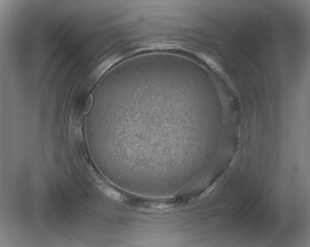 X0000078861273200611201304