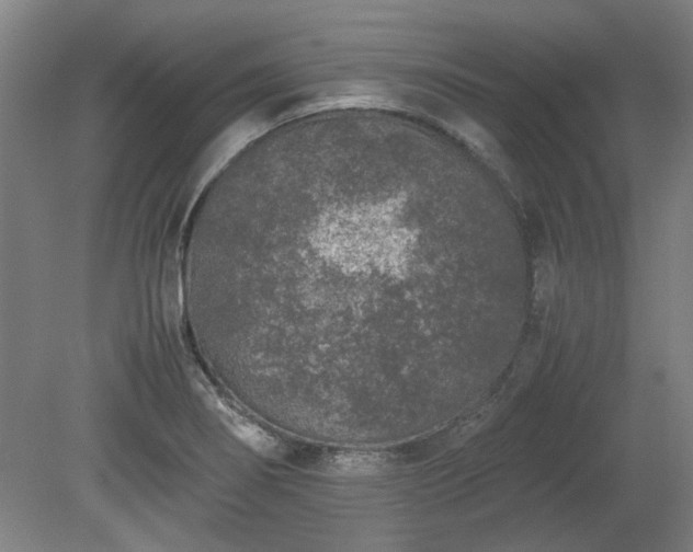 X0000078861274200611201304