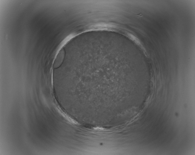 X0000078861275200611201304