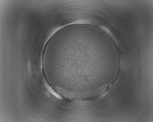 X0000078861276200611201304