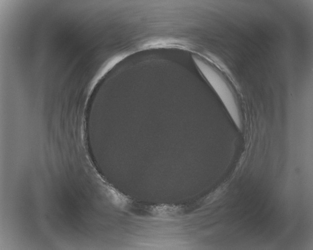 X0000078861277200611201304