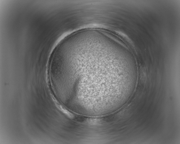 X0000078861278200611201304