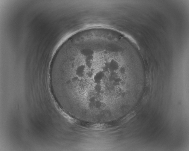 X0000078861279200611201304