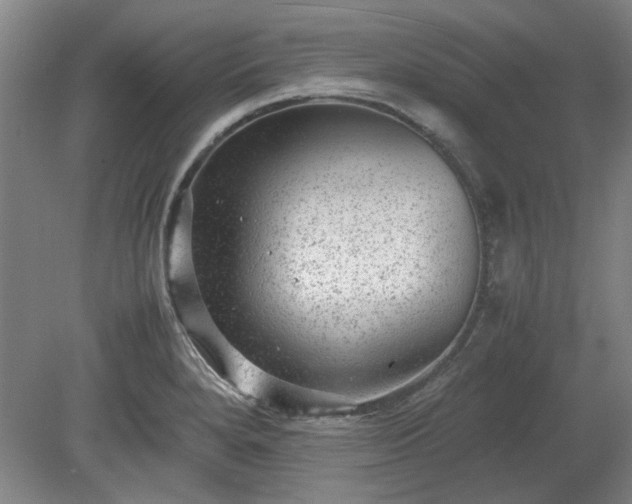 X0000078861280200611201304