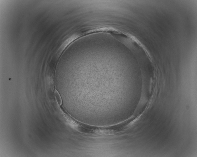 X0000078861281200611201304