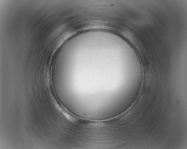 X0000078861282200611201304