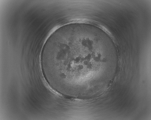 X0000078861283200611201304