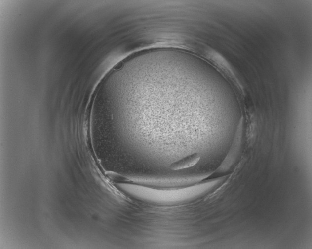 X0000078861284200611201304