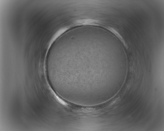 X0000078861285200611201304