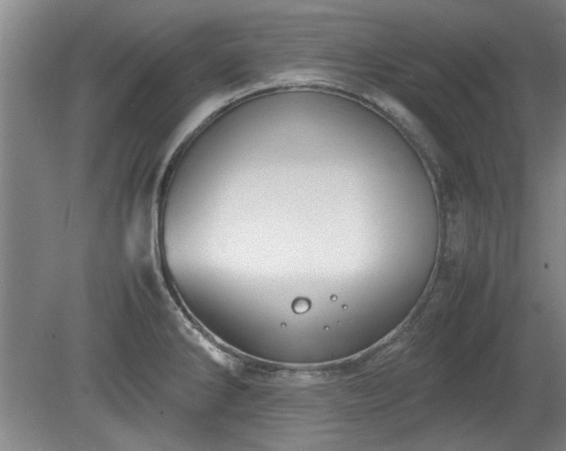 X0000078861286200611201304