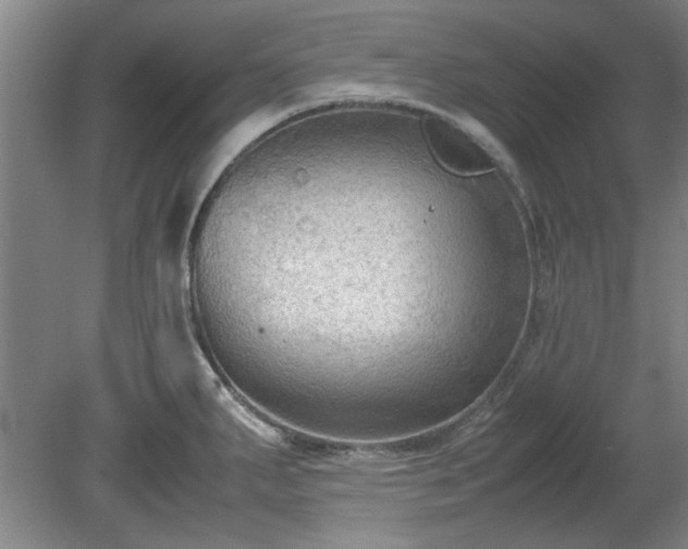 X0000078861287200611201304