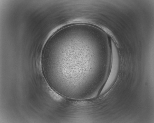 X0000078861288200611201304