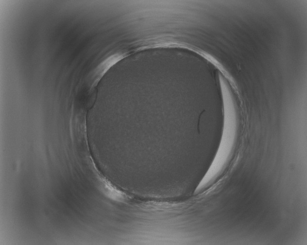 X0000078861289200611201304