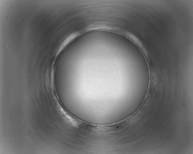 X0000078861290200611201304