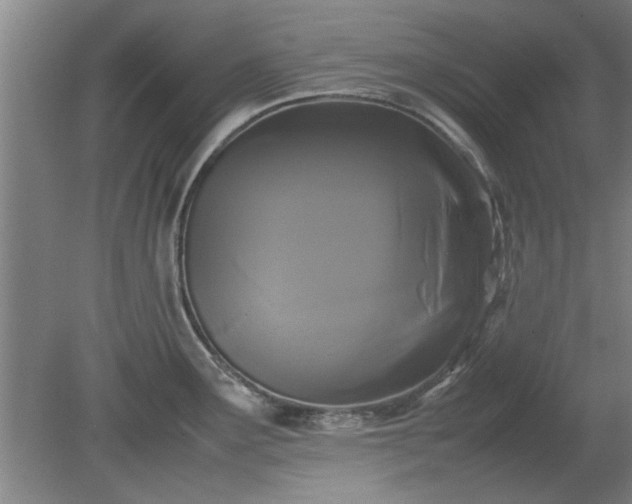 X0000078861291200611201304