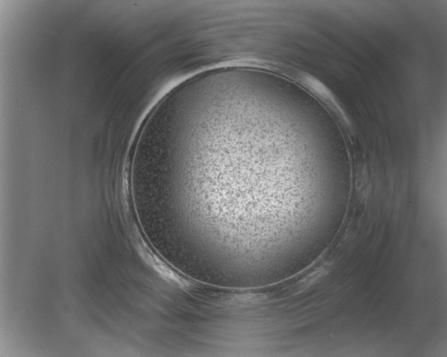 X0000078861292200611201304