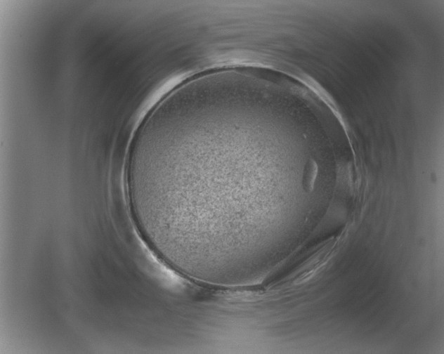 X0000078861293200611201304