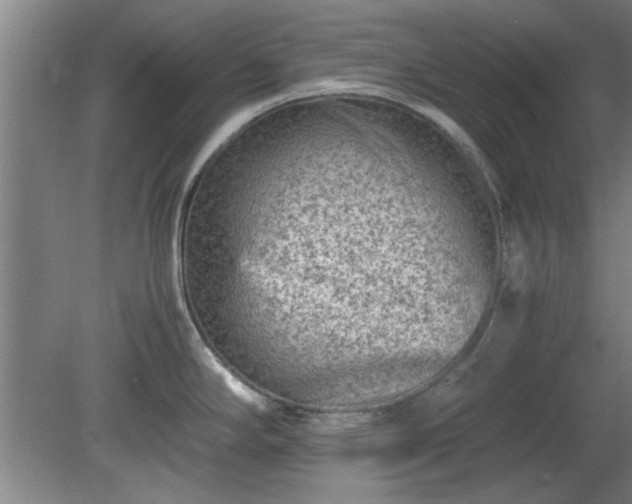 X0000078861294200611201303