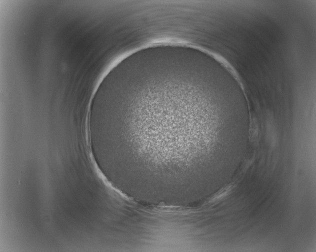 X0000078861295200611201303