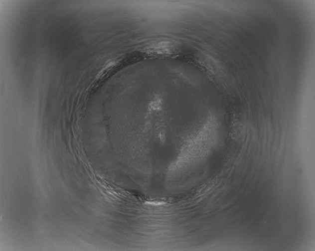 X0000078861297200611201303