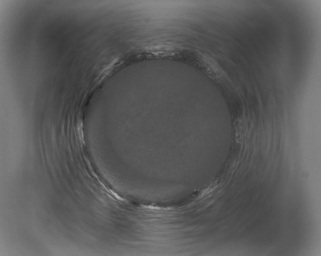 X0000078861298200611201303