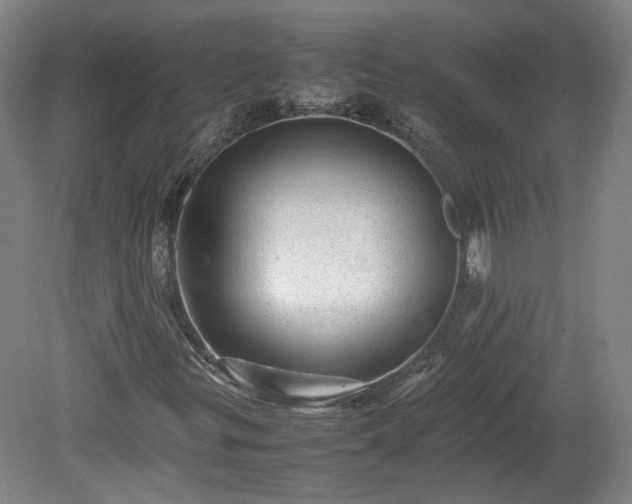 X0000078861299200611201303