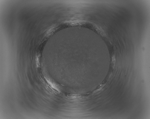 X0000078861300200611201303