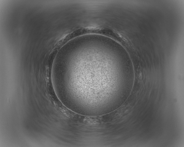 X0000078861301200611201303