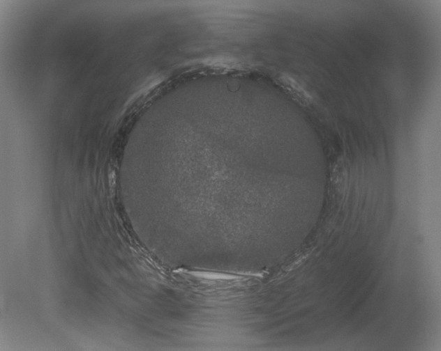 X0000078861302200611201303