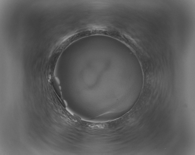 X0000078861303200611201303