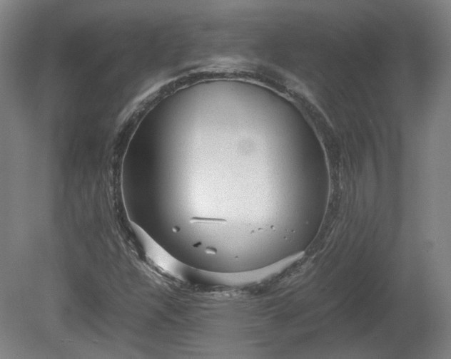 X0000078861304200611201303